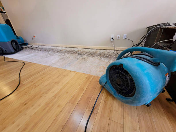 Professional Structural Drying technician working in Sylvester, GA
